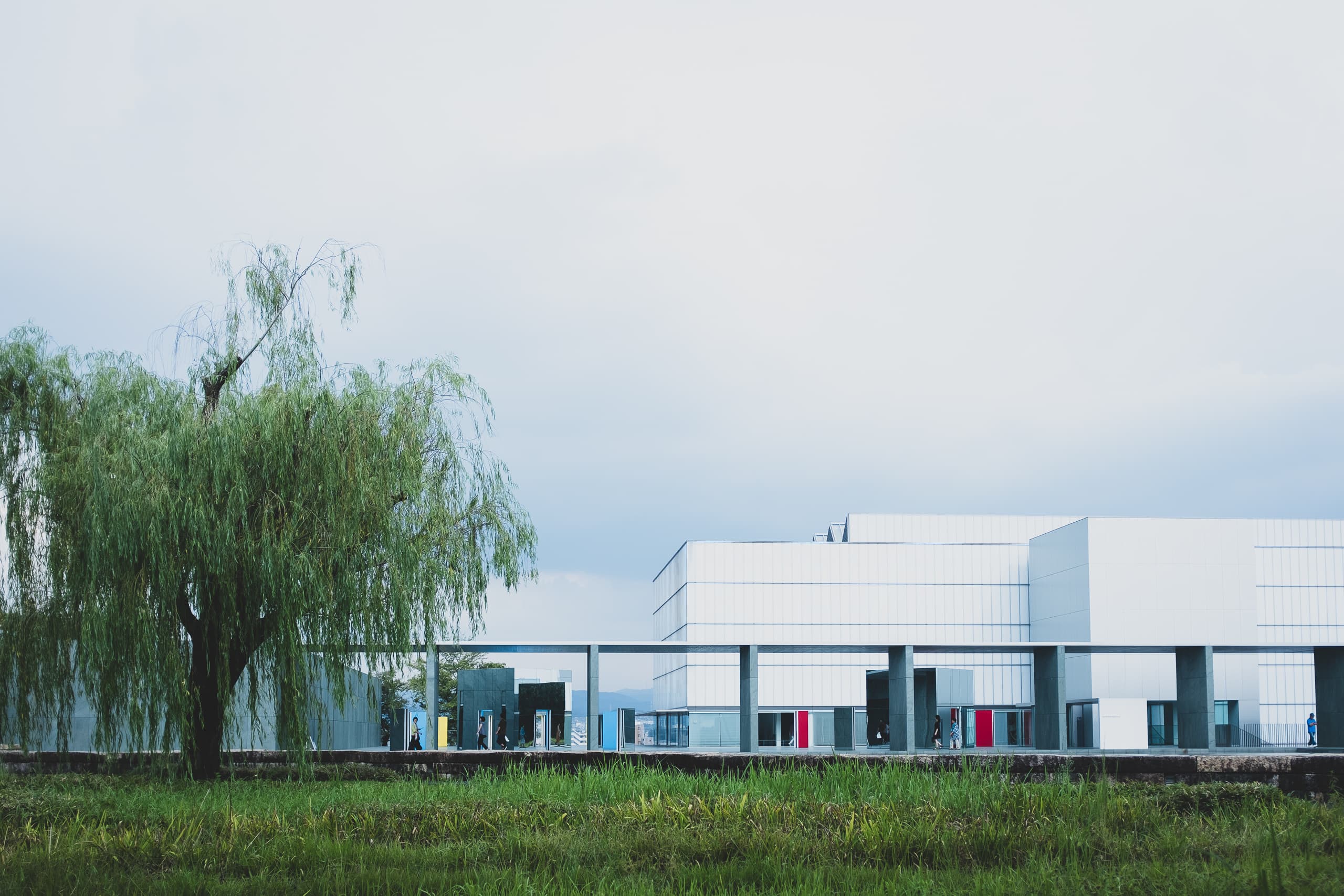 Aichi Triennale 2019: Taming Y/Our Passion — Chapter 4 | Toyota Municipal Museum of Art