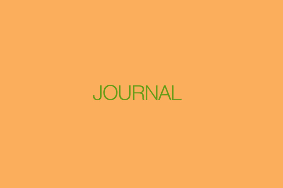 journal-synonym